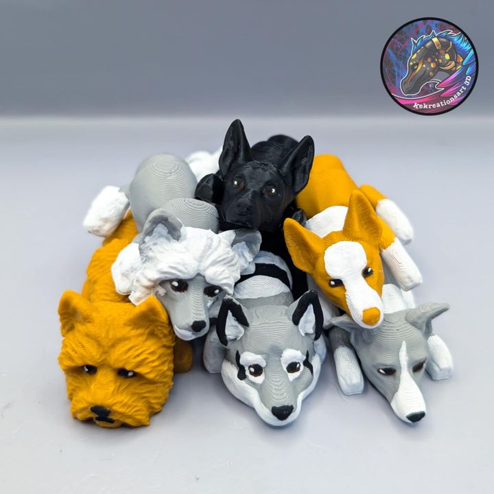 Baby Flexi Dog Set