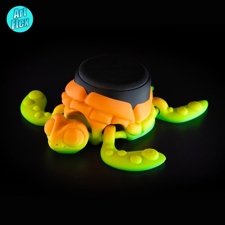 Turtle-EchoDot designed by ArtFlex